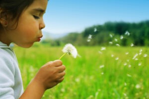 Picture of a young girl blowing seeds off a flower | NLP World.