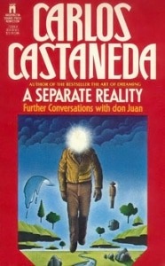 book cover a separate reality