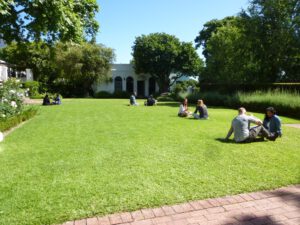 nlp cape town on the lawn