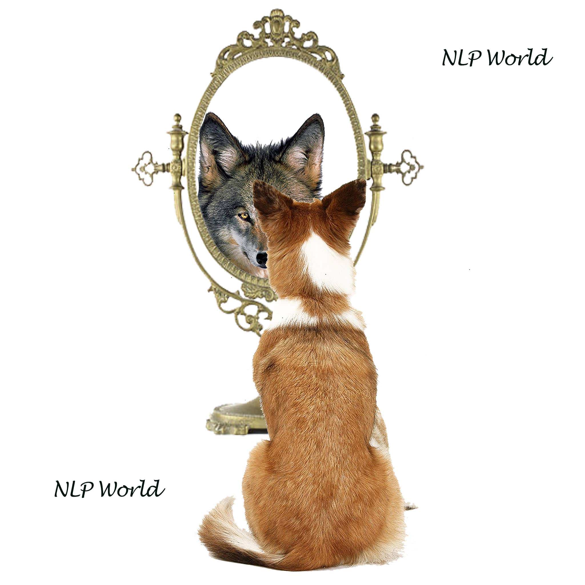 perceptions-nlp-world